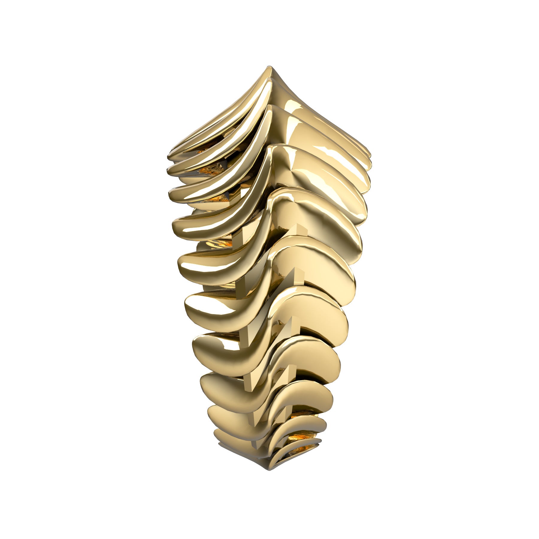 Anillo Backbone