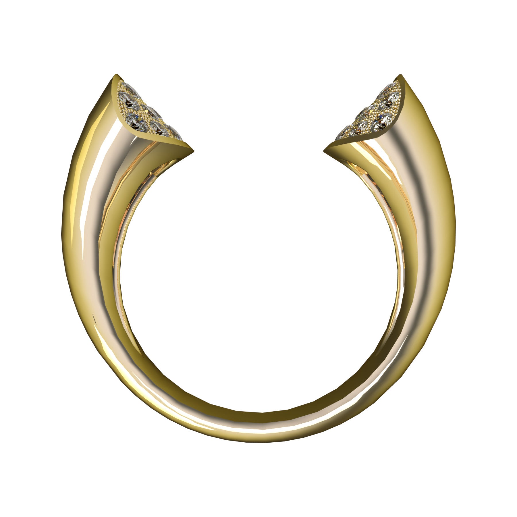 Ellipse ring